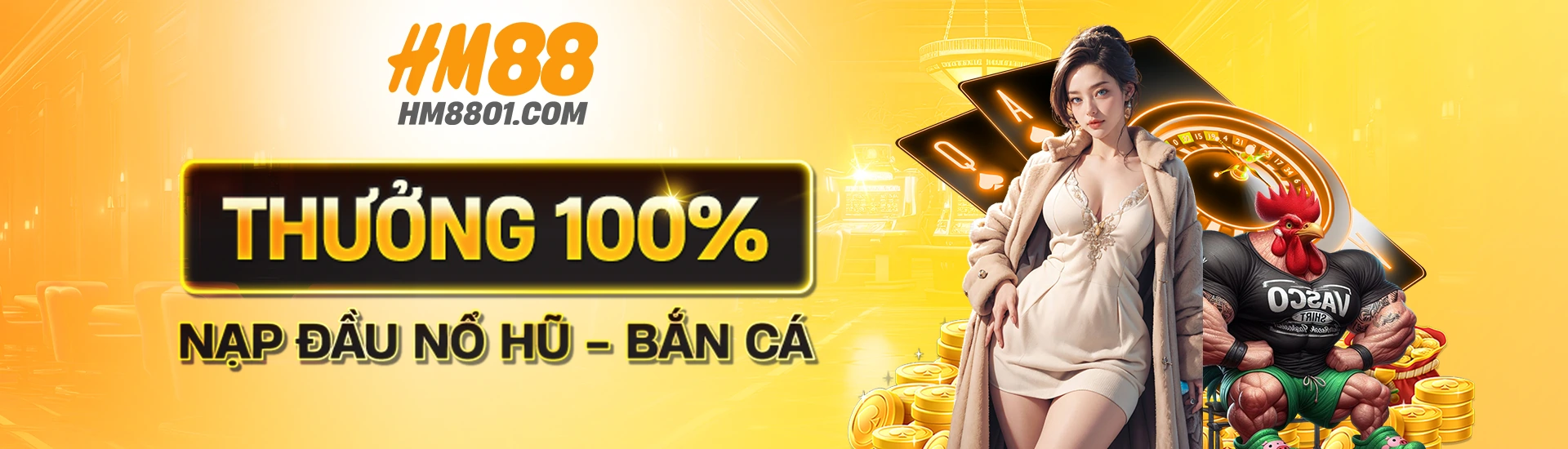 Banner hm88